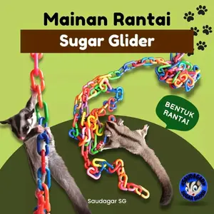 Rantai Mainan Sugar Glider Oval Penghias kandang