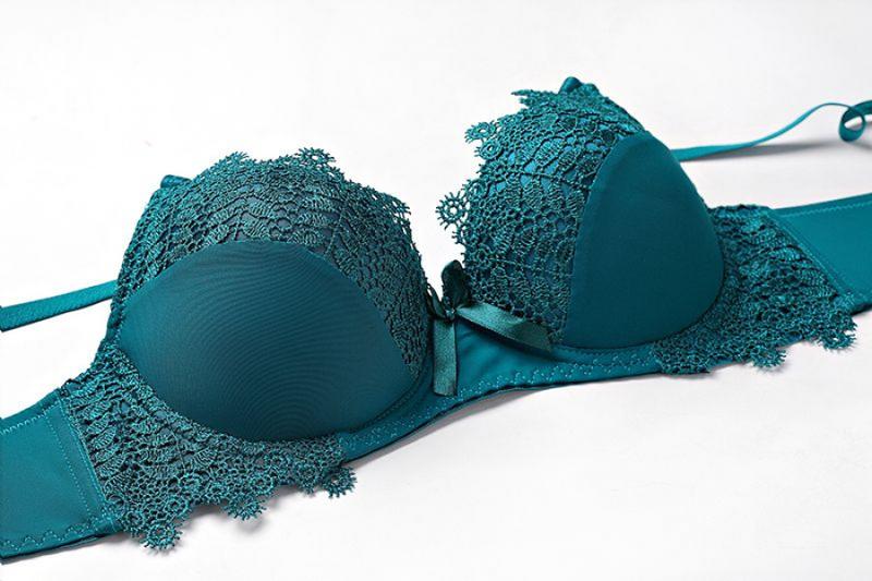 Product Introduction of [1465 Positive Reviews] Sexy Women's Push-Up Bra and Panty Set French Style Water-Soluble Flower Bra Bikini Panties with Underwire Shaping 13