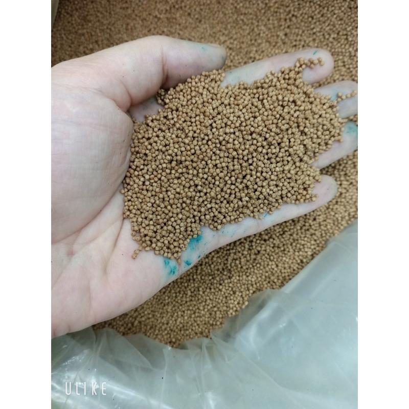 4kg Cám cá cảnh AXIFood hạt nhỏ siêu đạm dành cho nuôi cá cảnh cá koi giúp lên màu sắc cho cá hạt sản phẩm đơn cám master