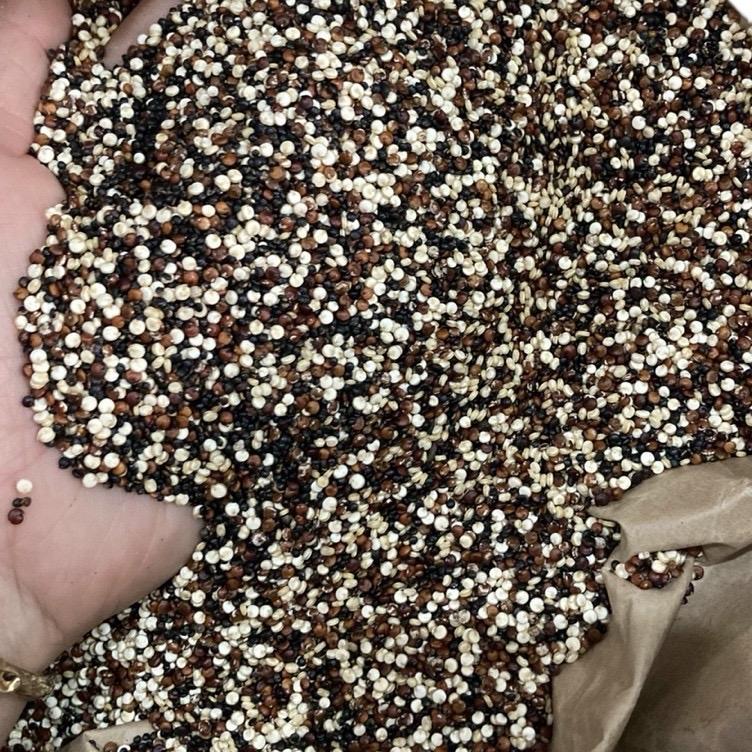 500g Hạt diêm mạch Paraway Quinoa trắng và Quinoa mix 3 màu Food