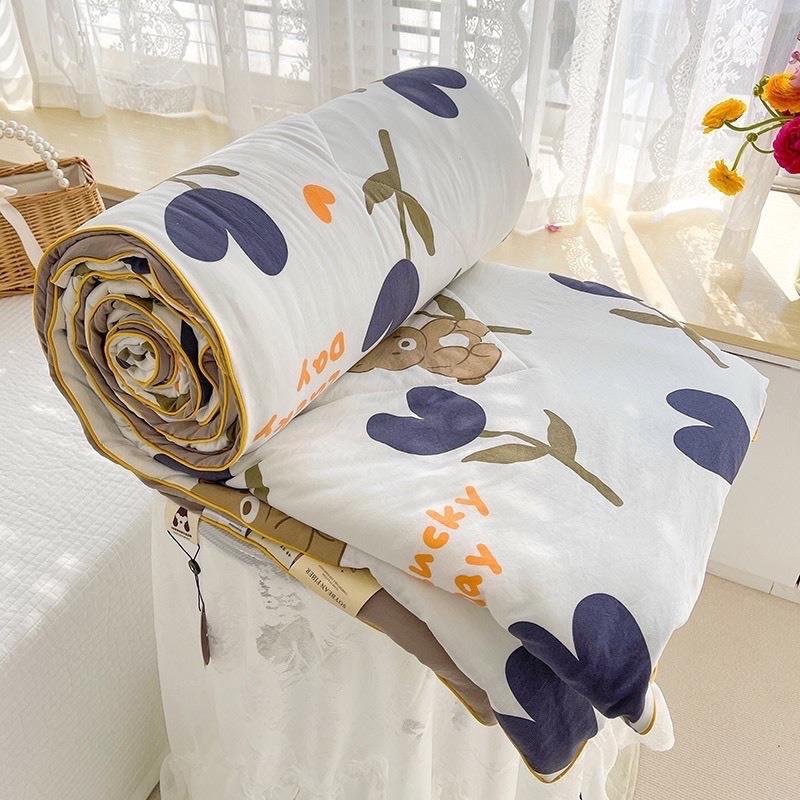  CHĂN ĐŨI SƠ ĐẬU NÀNH 2M3 CHĂN HÈ ĐŨI COTTON THOÁNG MÁT MỀM MẠI DECOR PHÒNG NGỦ 