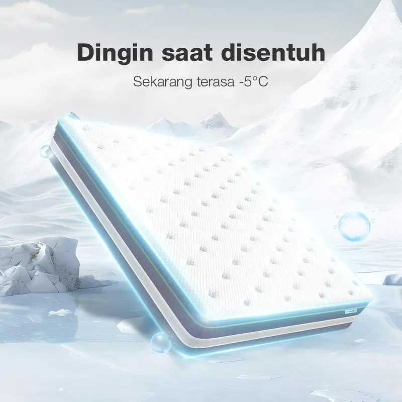 Novilla kasur spons busa dipan divan spring bed tebal 27cm empuk sleep lantai matras anti lembab 1