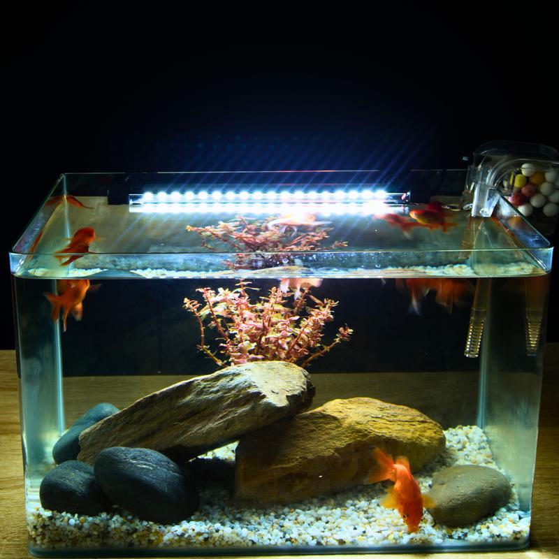 Đèn Led Bể Cá Cảnh 20cm - 60cm FULL Ánh Sáng Trắng Dành Cho Hồ Cá Hồ Thuỷ Sinh