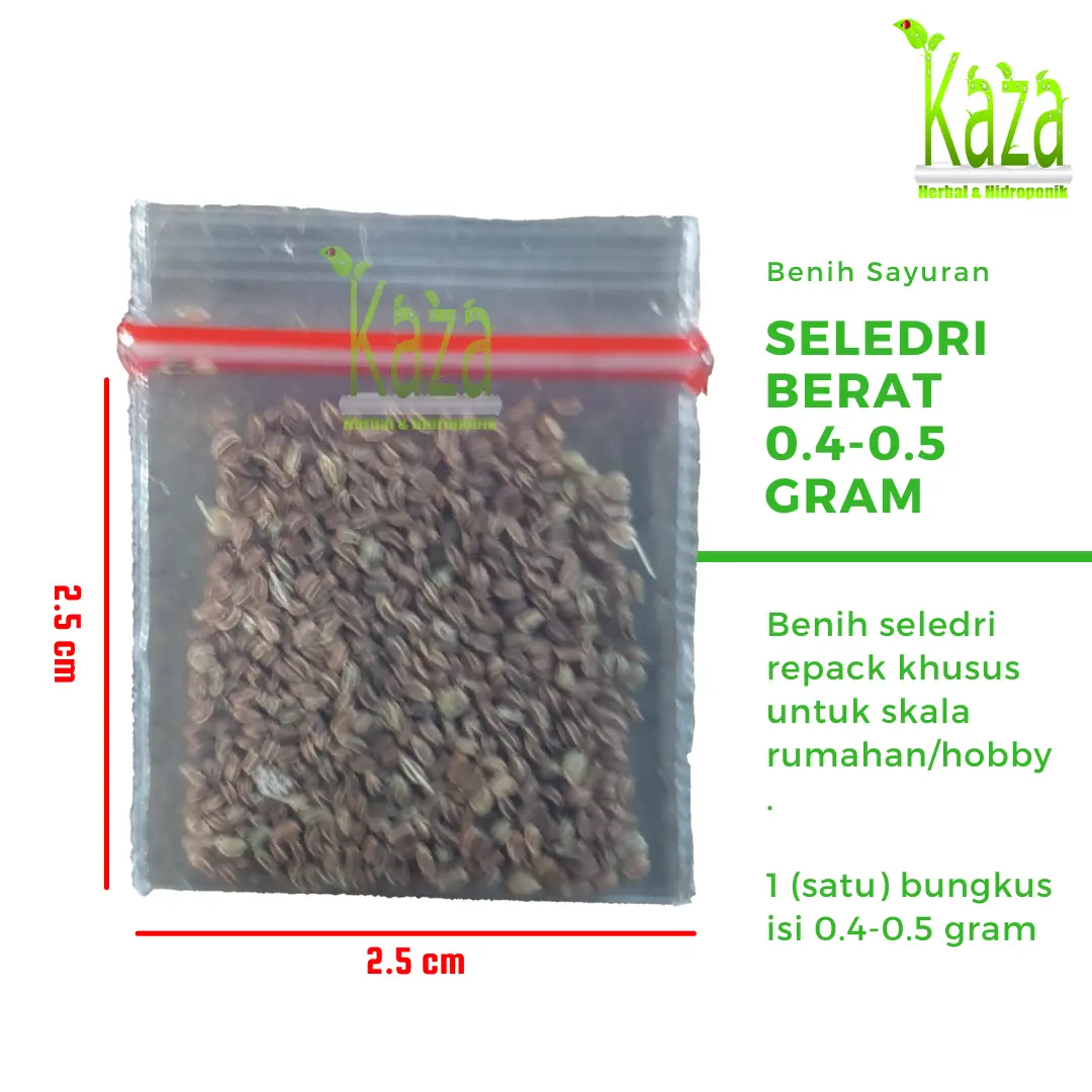 Benih Seledri Berat 0.4-0.5 gram