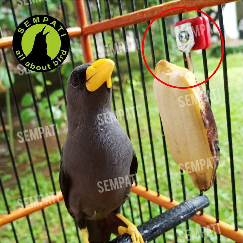 GANTUNGAN BUAH PISANG SAYUR SOTONG SANGKAR KANDANG BURUNG SEMPATI GTBS