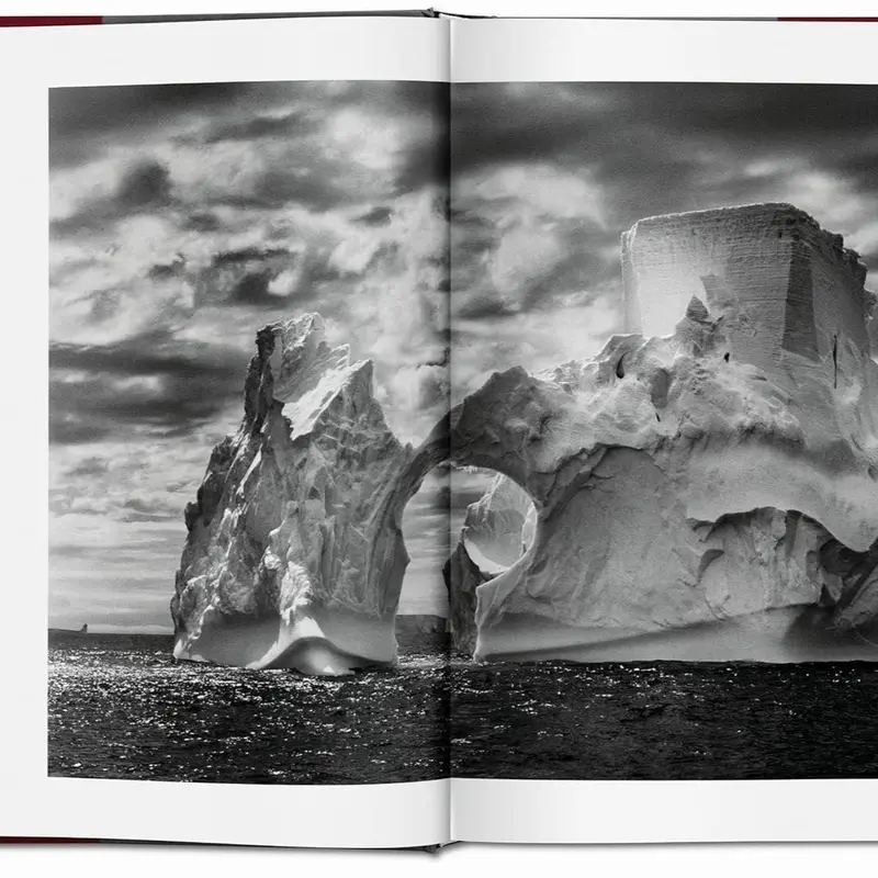 Sách Artbook Genesis, by Sebastião Salgado, bìa cứng, sách trưng bày, sách nghệ thuật, size lớn XL 27 x 36 x 5 cm Tranh 4