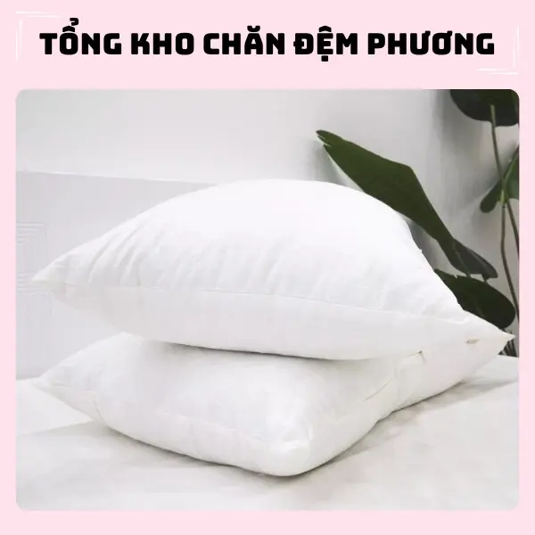 Combo 2 ruột gối bi gòn - tổng kho chăn đệm Phương