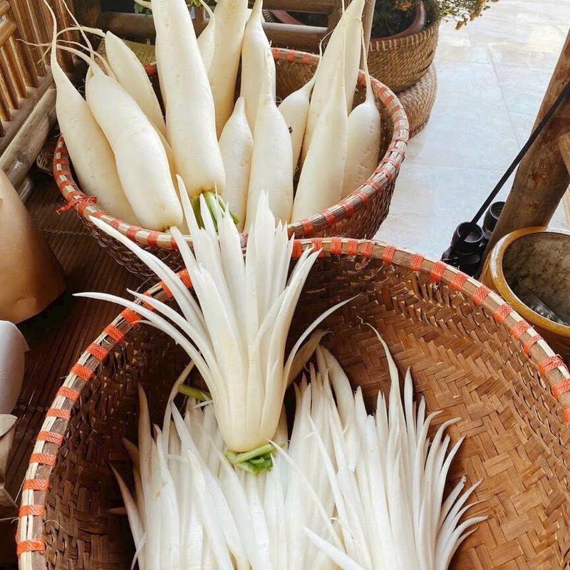 Củ cải phơi khô đóng túi 500g 1