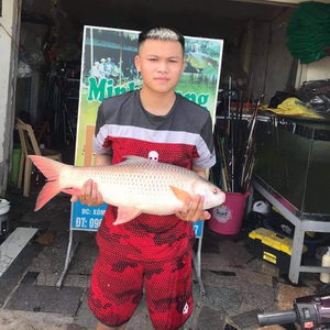 thuận huyền fising