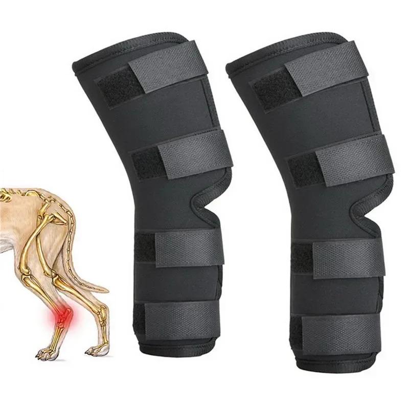 Product Introduction of 1Pair Pet Knee Pads Support Brace for Leg Hock Joint Wrap Injury Recover Legs Dog Protector Protects Bandage 23