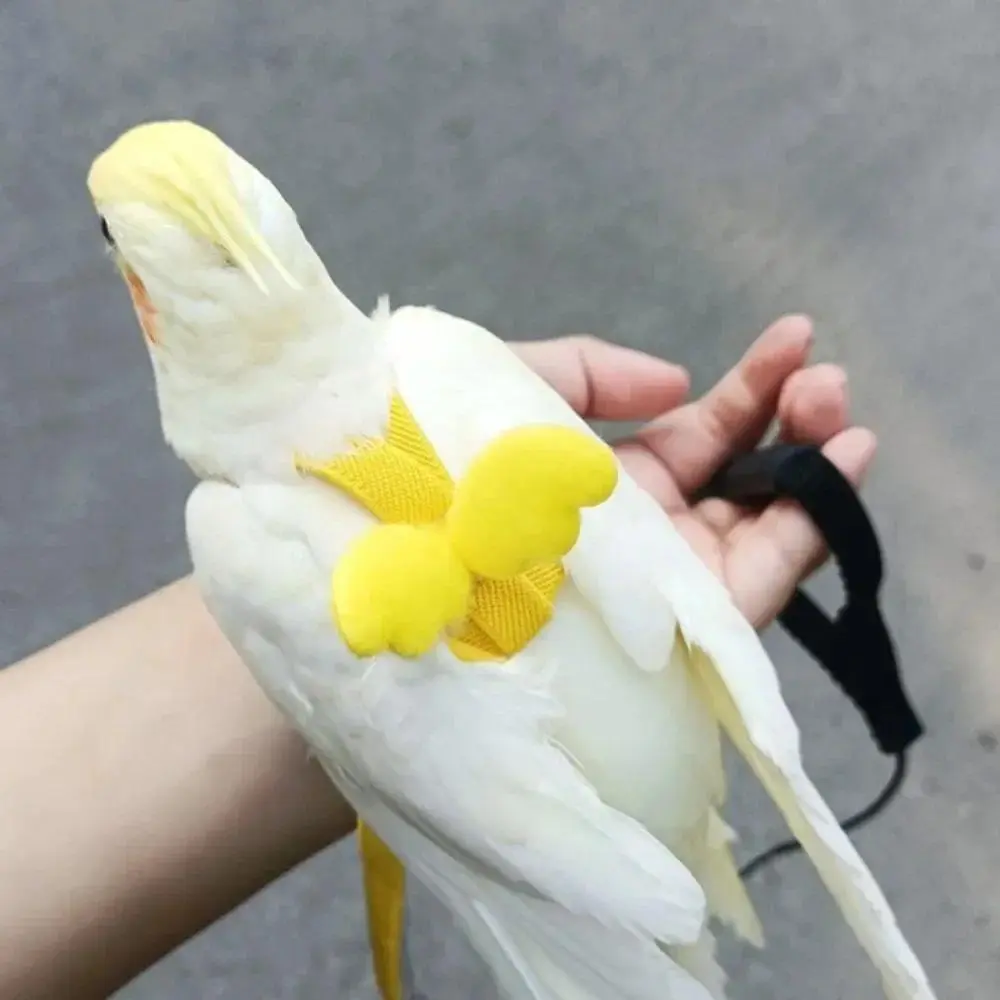 Bird Vest Harness Long Cable Anti-breakaway Training Rope Decorative Lightweight Parakeet Parrot Vest Rope for Bird Supplies