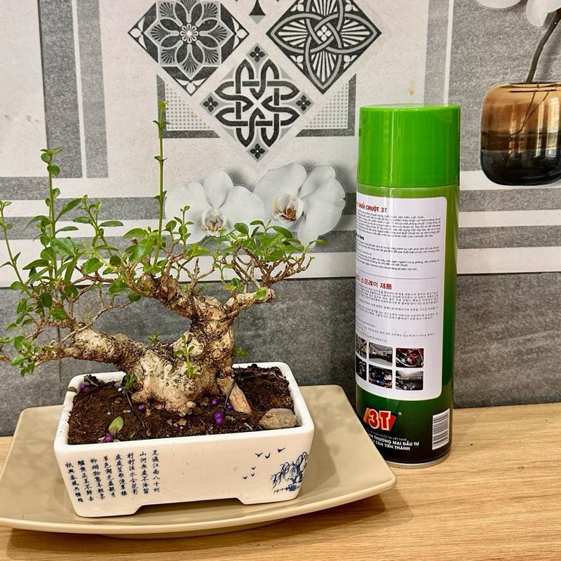 Chai xịt đuổi chuột sinh học 3T 450ml, thành phần từ thiên nhiên đuổi sạch chuột &côn trùng các loại 8