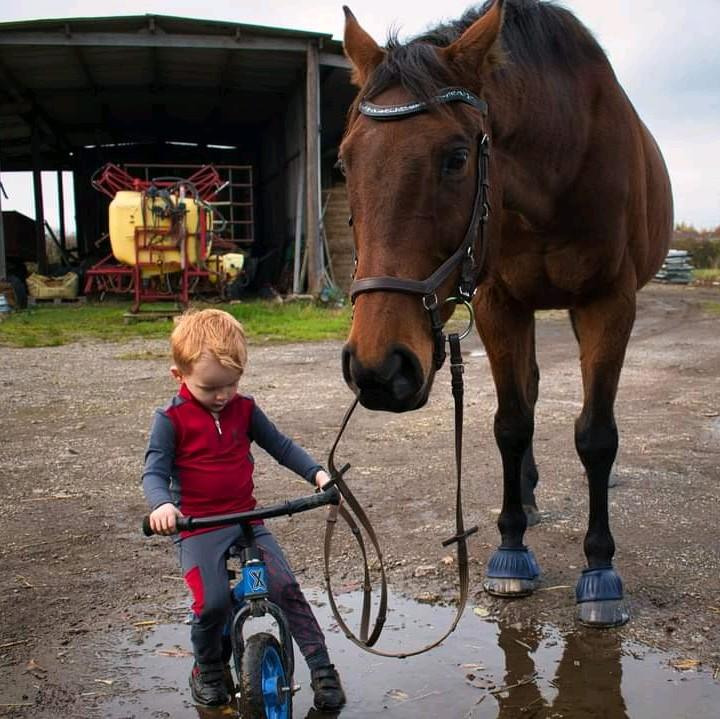 Equestrian Kids Riding Tights - All Seasons 5