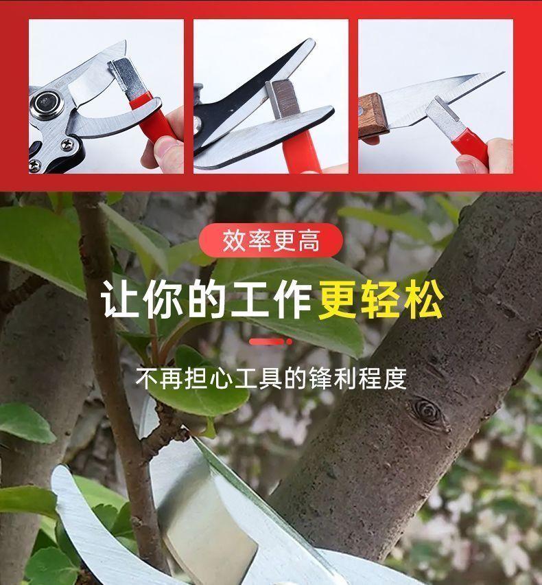 Product Introduction of [Hot Sale] Quick Knife Sharpener Home Essential Sharpening Stone Garden Blade Multi-Function Pruning Kitchen Knife Scissors Fruit Branch Kitchen Tool 10