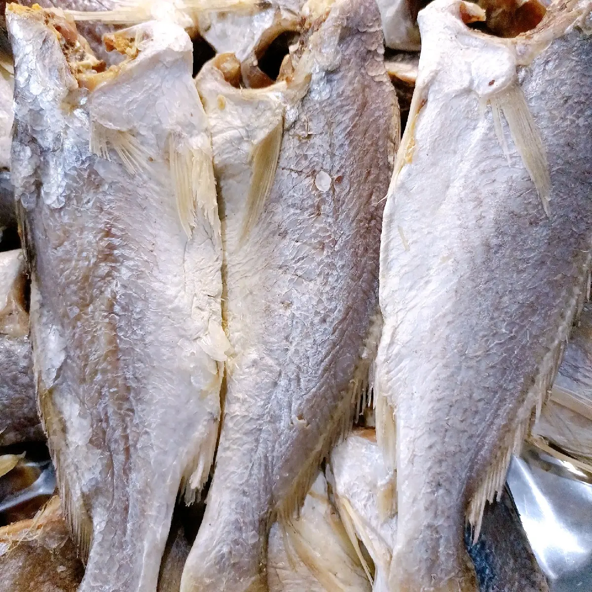 Khô Cá Lù Đù lớn size 12-15con/kg