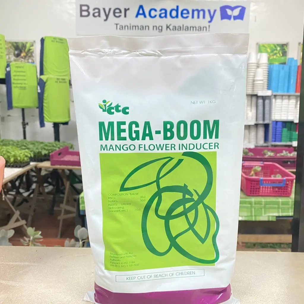 MEGA BOOM MANGO FLOWER INDUCER PAMPABULAKLAK NG MANGA - TikTok Shop ...