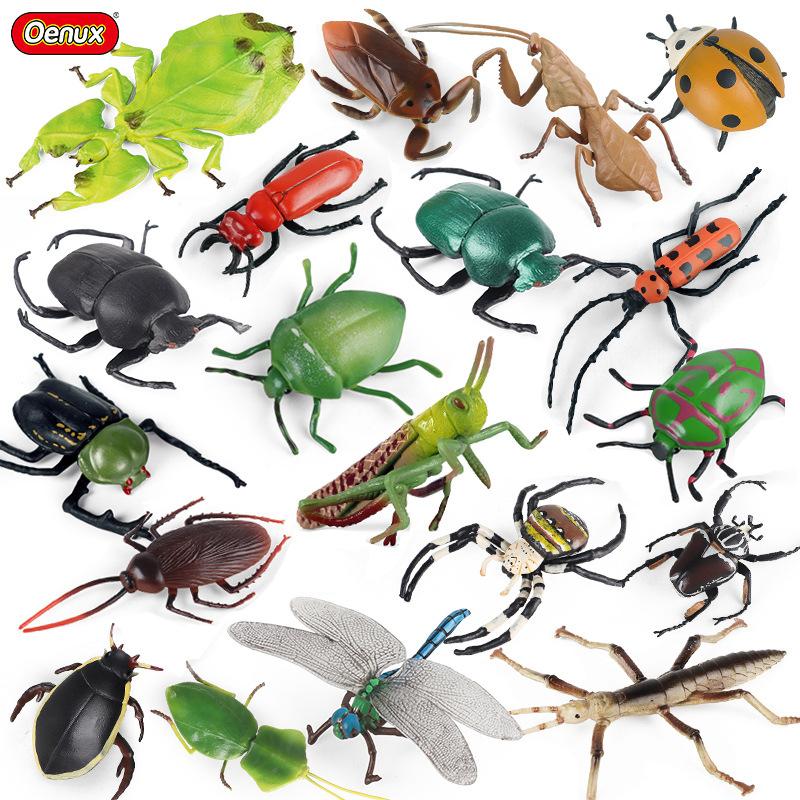 Realistic Cognitive Prank Solid Insect Toys Beetle Dragonfly - TikTok ...
