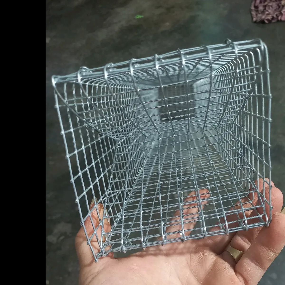 Combo 4 cái Lồng đặt rắn 2 hom dài 75cm chống rỉ sợi lưới 1li Fish