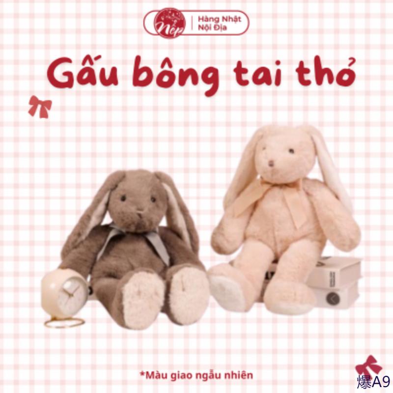 GẤU BÔNG TAI THỎ 45-264289 Tranh Dán Tường miếng dán bàn stickers 3d playhouse
