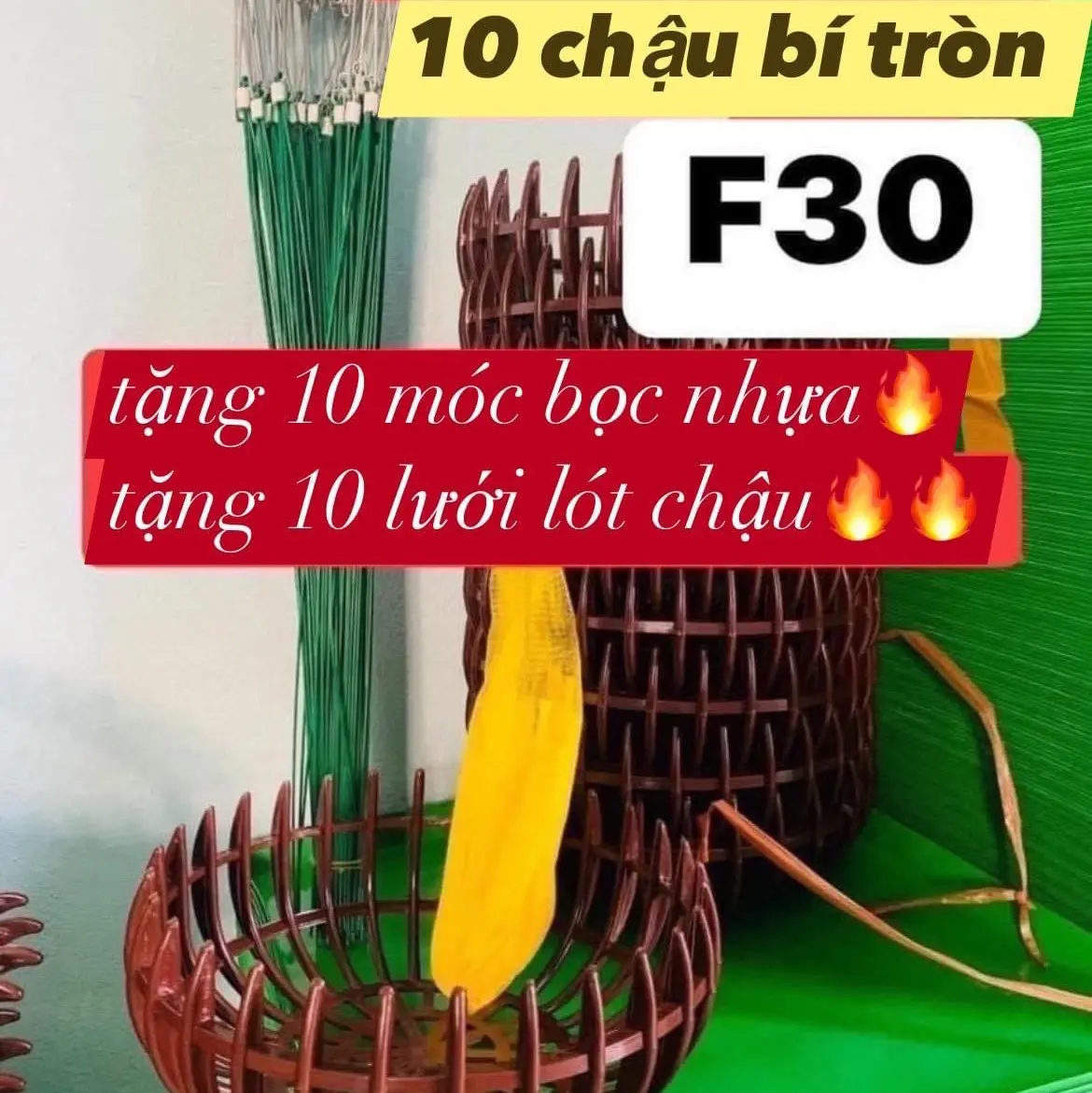 10 chậu bí F30, 10 móc 70cm, 10 túi lưới
