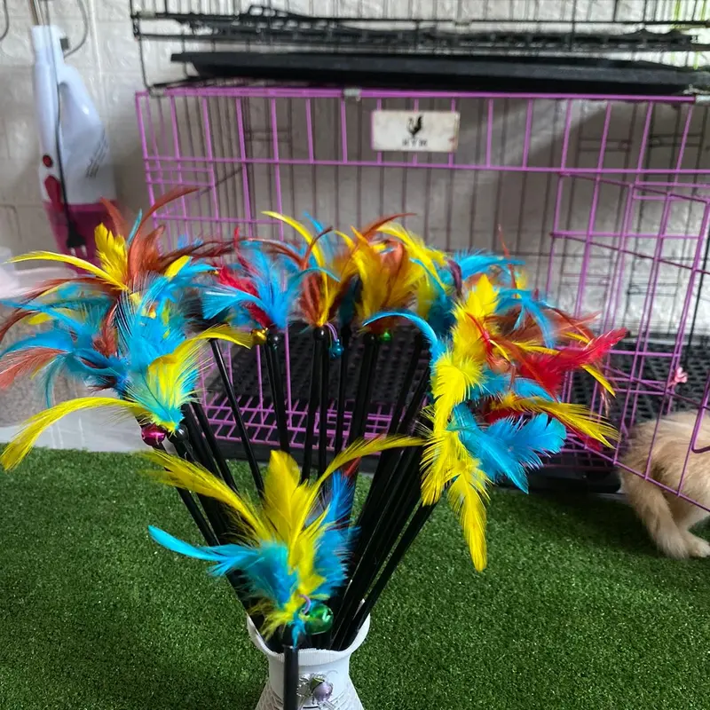 Mainan kucing stik bulu ayam 0