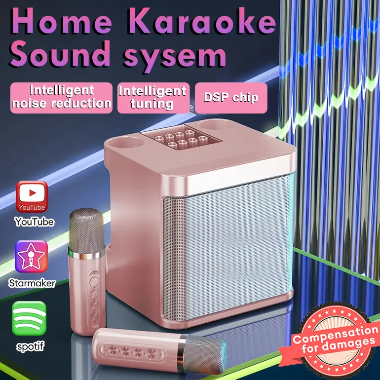 Loa Bluetooth, có mic, không dây, mic kép, loa Karaoke, bộ khuếch đại âm thanh nổi 3D, 203 3
