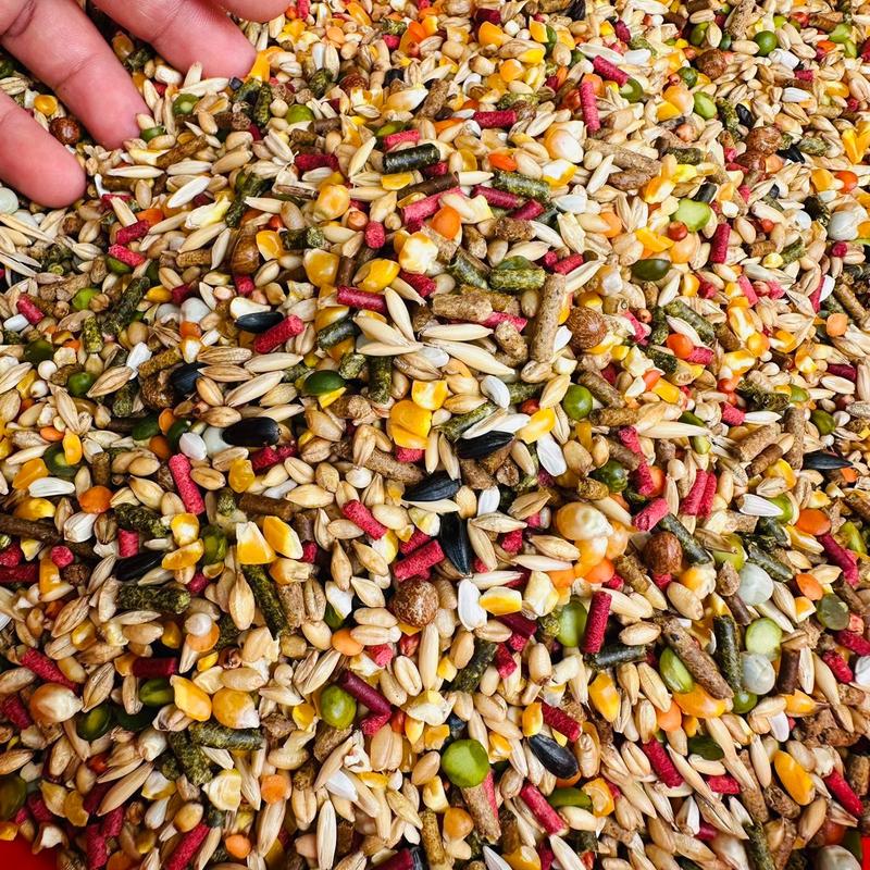 Combo 5kg ngũ cốc gà đá  loại 1 dùng cho ăn hằng ngày Food