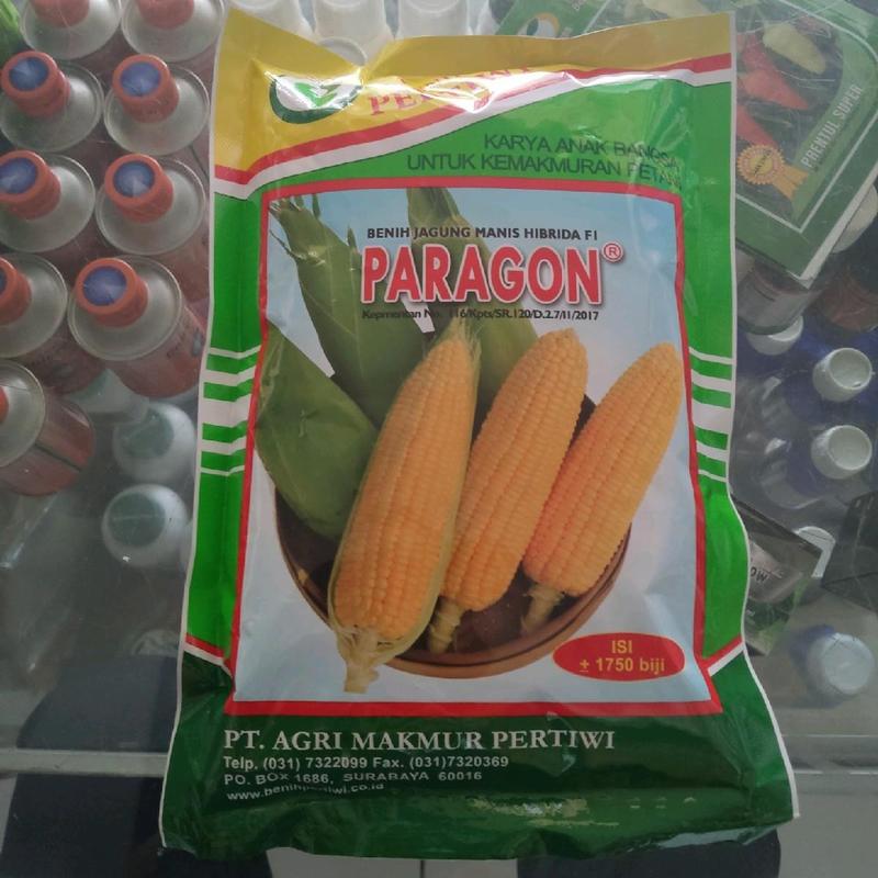 Product Introduction of Paragon 250g 1750 Benih jagung manis unggul bibit jagung manis super bibit jagung manis bibit jagung manis paragon benih pertiwi bibit jagung pertiwi benih jagung manis super bibit jagung tongkol 2 benih jagung manis paragon benih jagung bibit jagung 26
