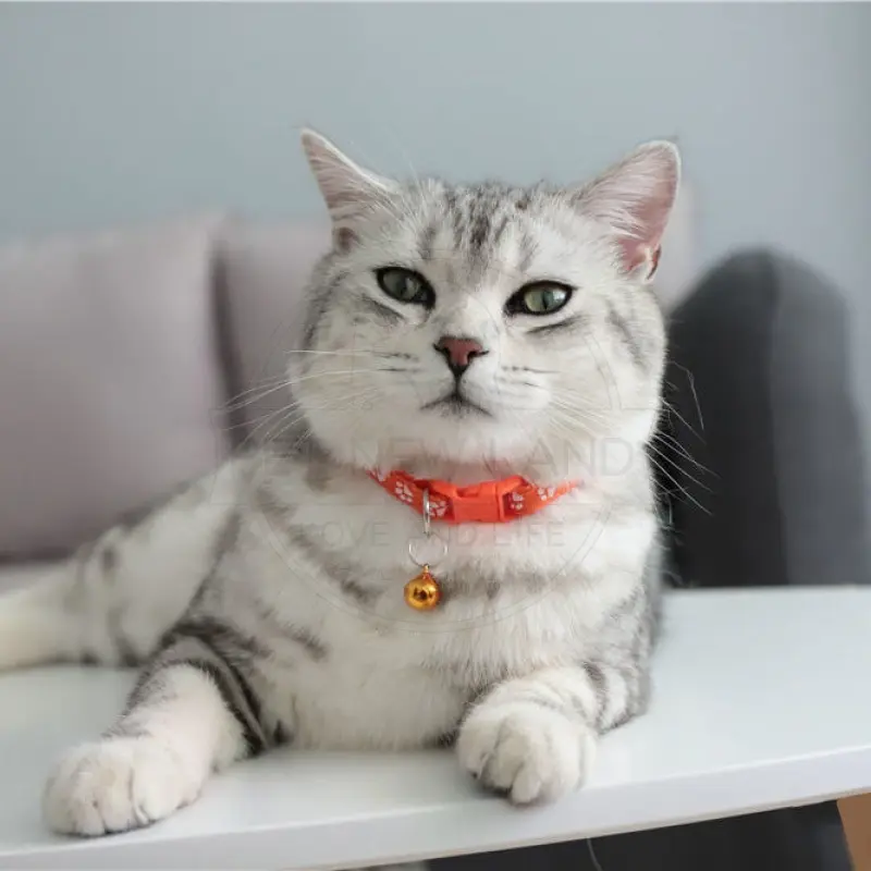 Kalung Kucing Lonceng Hewan Peliharaan Tali Leher Anjing Kecil Lonceng Pet Collar Dog Kitten Adjustable Motif Tapak Kaki Murah Import 6