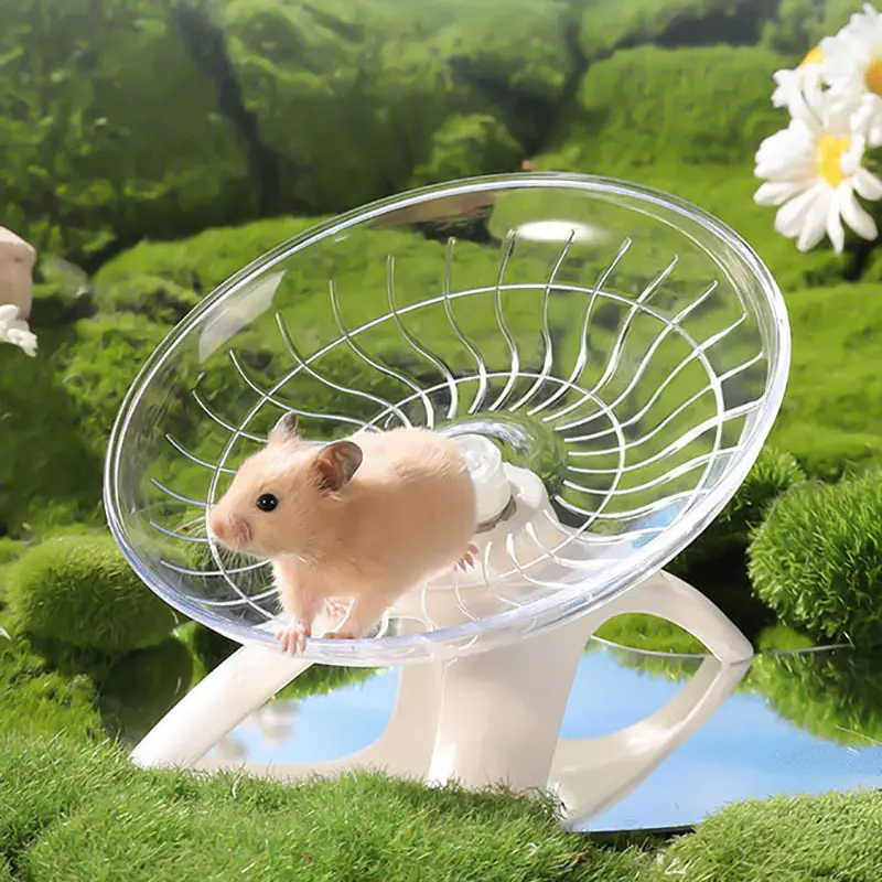 Hamster Wheel Hamster Running Wheel Hamster