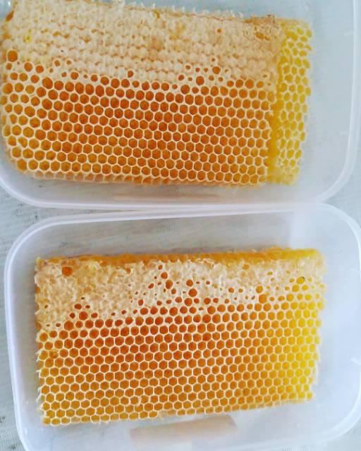 Madu Sarang Asli Madu Sarang Original 2