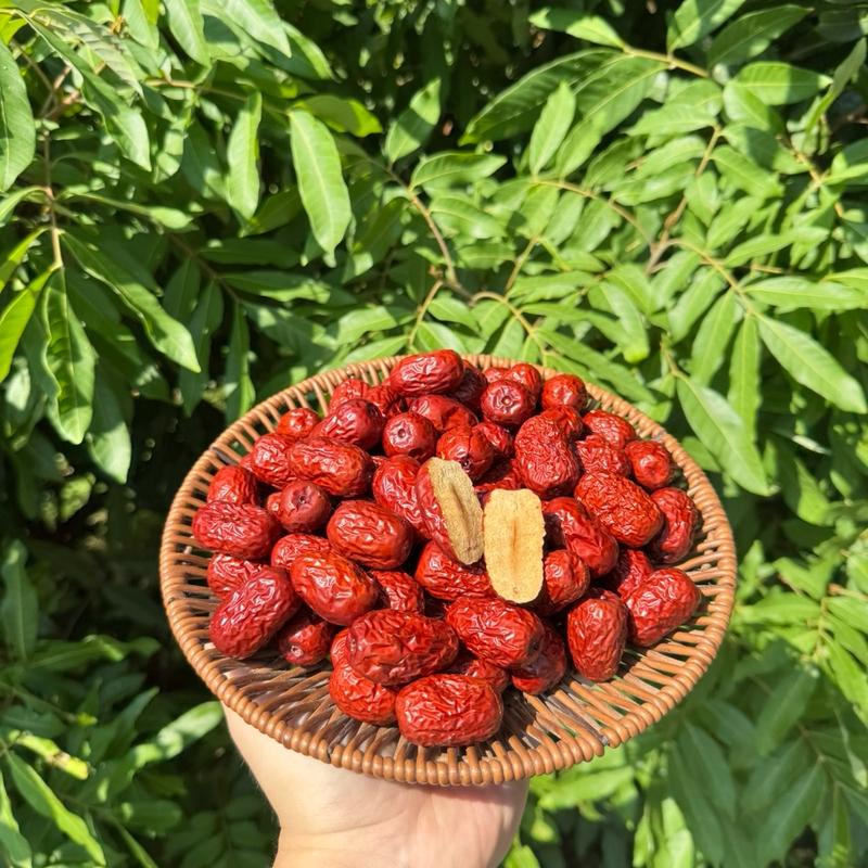 Combo 2Kg Táo Đỏ Nhược Khương - Tân Cương (Size 18-20quả /lạng) Size BÉ Dẻo Ngọt Thơm Ăn Vặt Food Bổ Dưỡng Thức Ăn