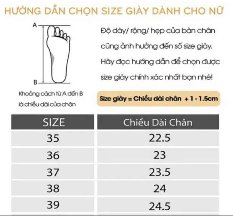 Product Introduction of N53 Giày cao gót gắn nơ lụa xoàn chéo , gót ngọc cao 9cm Shoes Nữ ( lùi 1sz ) 0