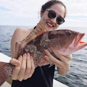 Đồ Câu Anh Béo 83686