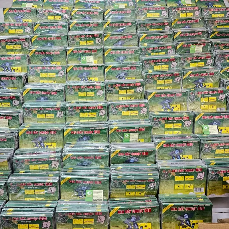 Miếng keo dán nhử chuột Bio,keo có mồi,size lớn 3
