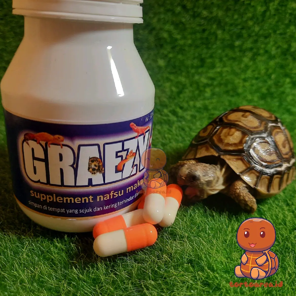 Graezy+ - Graezy Plus Ecer - Suplemen Penambah Nafsu Makan Kura Darat Sulcata Pardalis
