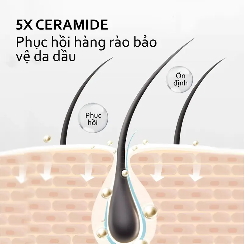 HAIRTIFIC Gôm xịt tóc Dầu gội khô ngải cứu ceramide 150ml Haircare bình xịt khô tóc 5