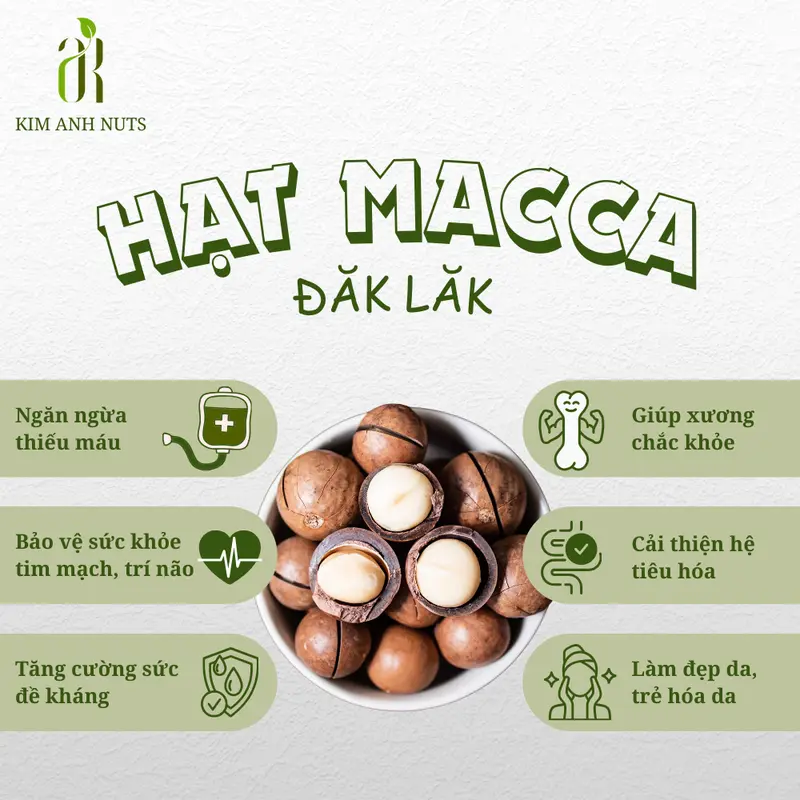 500gr/250gr Macca Dak Lak Nguyên Hạt Đã Sấy Ăn Liền, Nấu Sữa, Dinh Dưỡng Cho Mẹ Bầu Kim Anh Nuts - Food, Snack 1