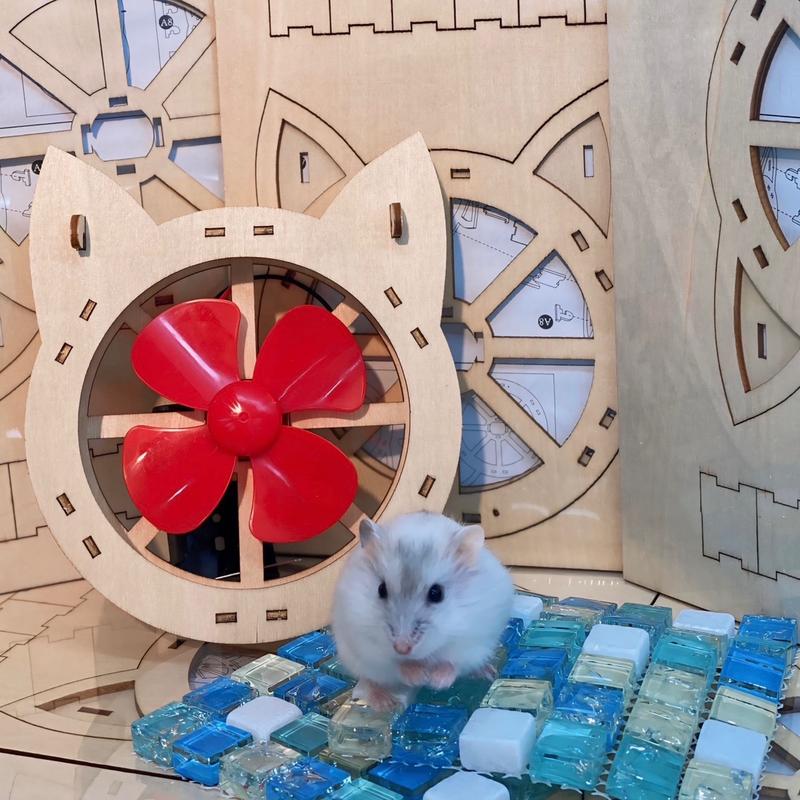 COMBO LÀM MÁT CHO HAMSTER bao gồm: 1 quạt pin lắp ráp cho hamster+ 2 tấm đá tản nhiệt