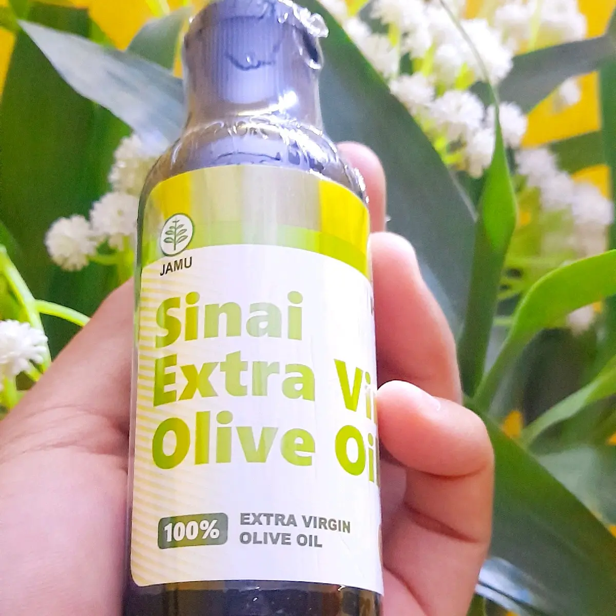 Sinai Extra Virgin Olive Oil Zaitun HNI Alami Organik