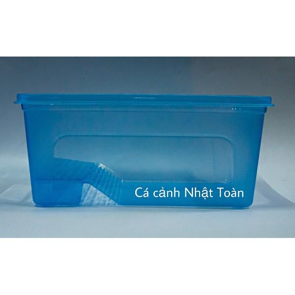  BỂ NUÔI RÙA BABA THÚ CƯNG 30x24x14cm 