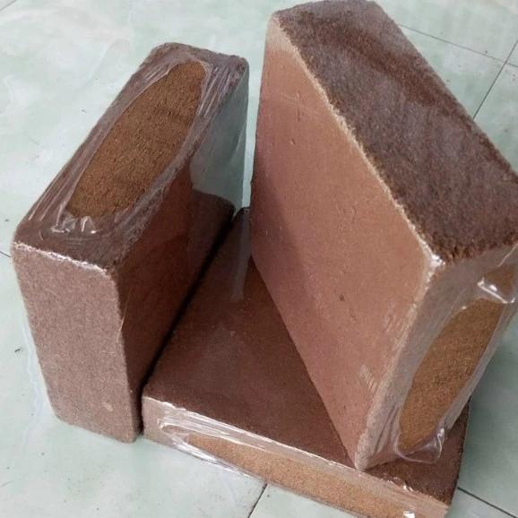 combo 10 Viên Nén Mụn Xơ Dừa Ép Hình Vuông Trồng Cây - dinh dưỡng cho cây trồng 2