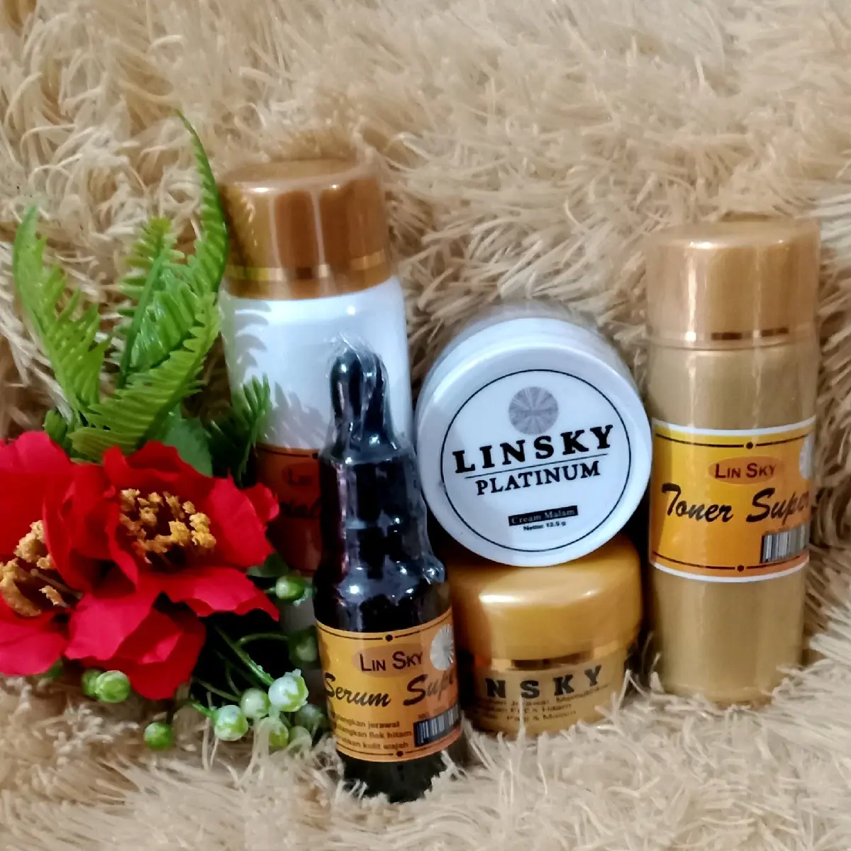linsky paket  5in1 untuk perawatan kulit susa putih