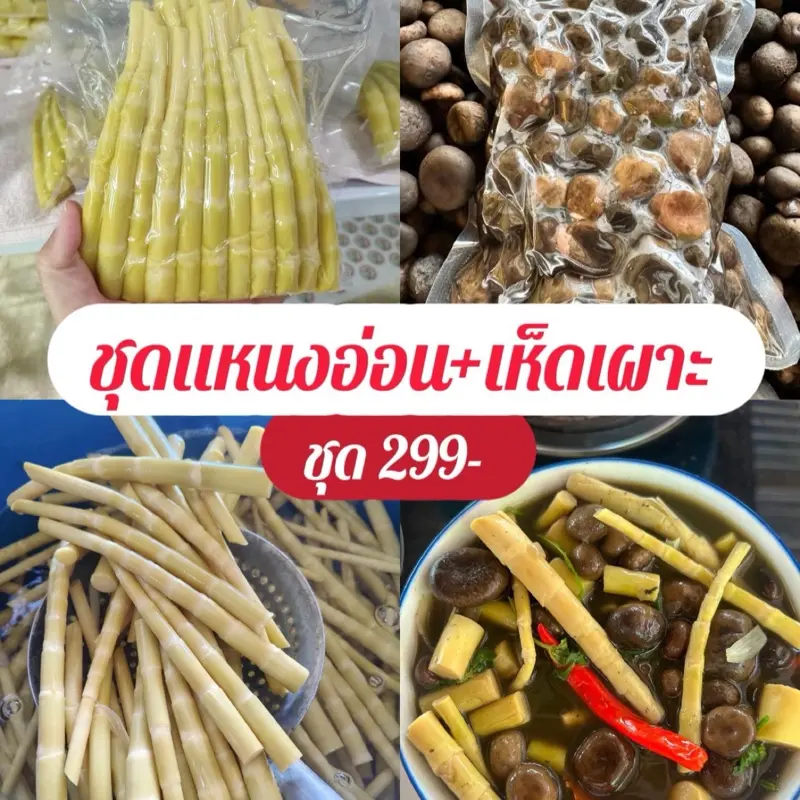 (ชุดเห็ดเผาะ1ถุง+เเหนงหน่อไม้อ่อน1ถุง)ถนอมอาหารเเบบเเห้ง