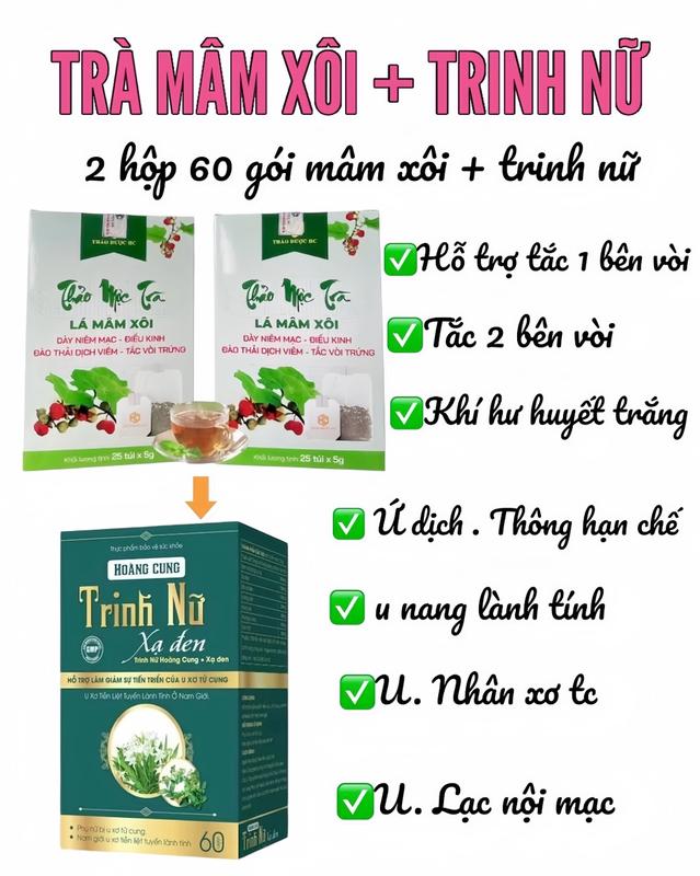 Combo Trà Mâm Xôi Túi Lọc + Trinh Nữ