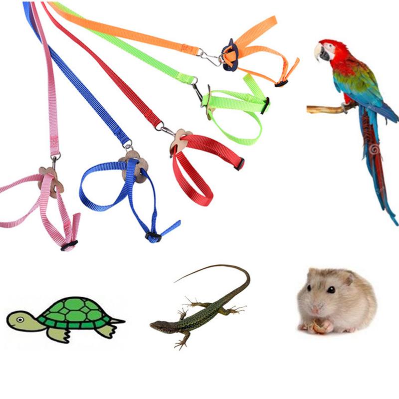 【stock】Adjustable Reptile Lizard Parrot Turtle Harness Hauling - TikTok ...