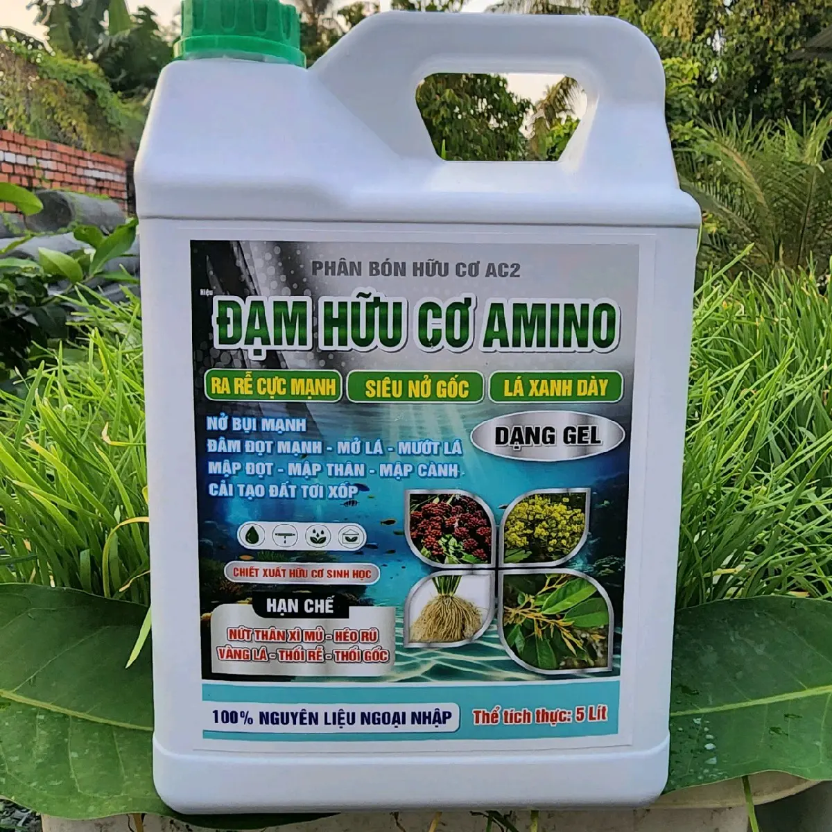 Đạm Hữu Cơ can 5 lít giúp kích đọt mạnh , lá xanh dầy, siêu nở góc, kích thích rễ phát triển, phục hồi bộ rễ suy yếu, hạn chế bệnh vàng lá thối rễ, nứt thân xì mủ , sương mai....can 5 lít pha 4000 lít nước bonsaitree kíchrễ z1000 kichrekich phân bón