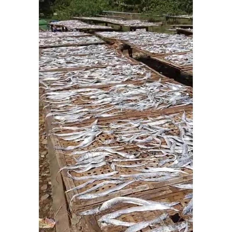 Ikan asin layur kering / gereh layur 1kg harga termurah 3
