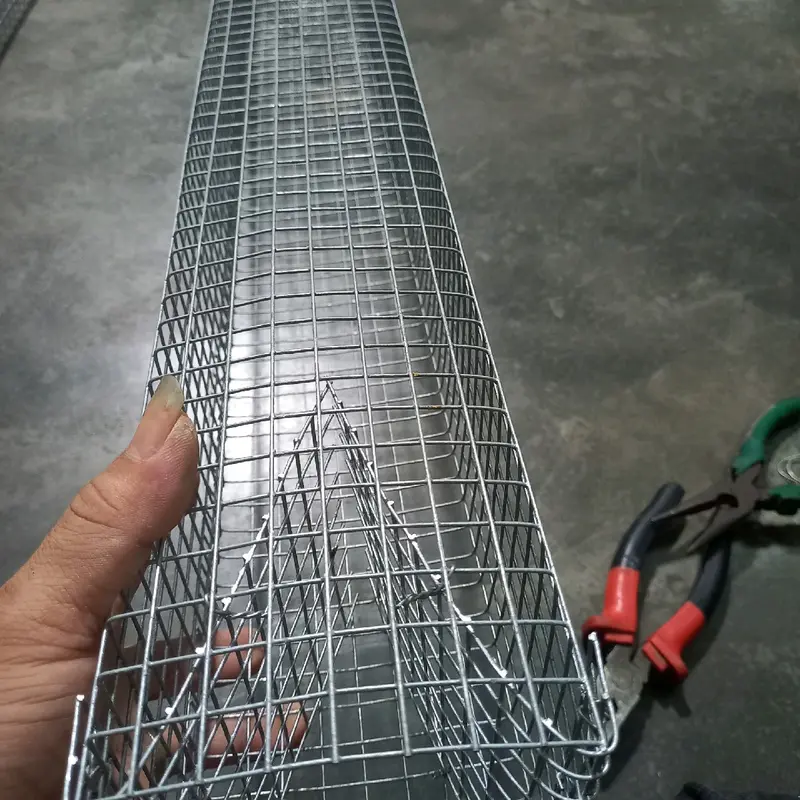 Lồng đựng rắn 2 hom dài 60cm, làm từ lưới chống rỉ độ bên cao, vuông 1,2cm Fish 3