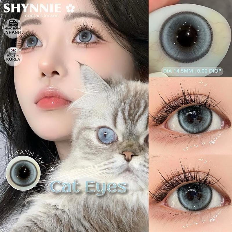 (1 cặp lens) LENS GRAY cat eyes pha xanh dương 0-6 ĐỘ viền đen 14.5mm lên mắt rõ màu - kính áp tròng SHYNNIE LENS